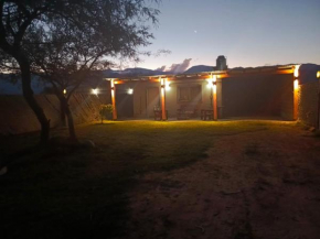 Vinchucahouse